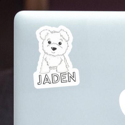 Sticker Jaden Terrier Laptop Image