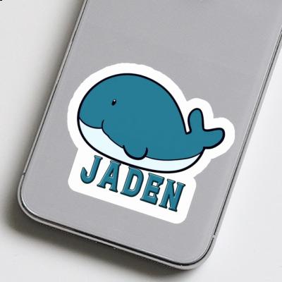 Sticker Jaden Whale Fish Image