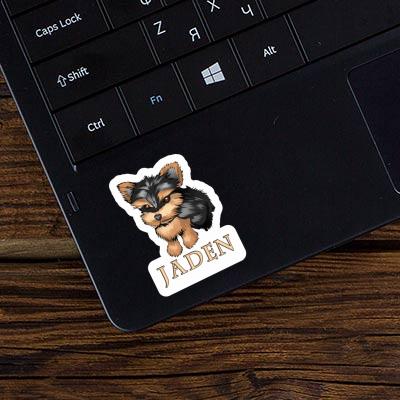 Sticker Jaden Yorkshire Terrier Laptop Image