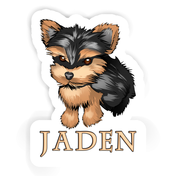 Sticker Jaden Yorkshire Terrier Gift package Image