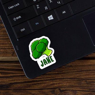 Sticker Jane Broccoli Notebook Sticker Jane Broccoli Gift package Image