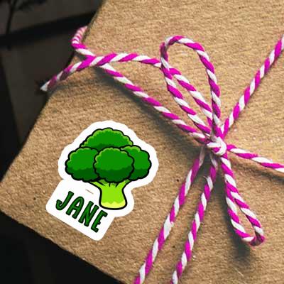 Aufkleber Brokkoli Jane Notebook Aufkleber Brokkoli Jane Gift package Image