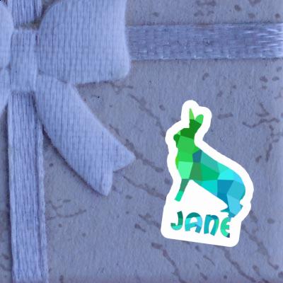 Jane Sticker Rabbit Notebook Jane Sticker Rabbit Gift package Image