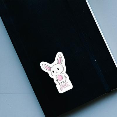 Sticker Hare Jane Laptop Sticker Hare Jane Laptop Image