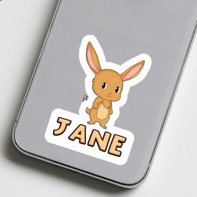 Hare Sticker Jane Hare Sticker Jane Image