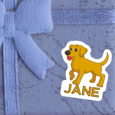 Autocollant Chien Jane Autocollant Chien Jane Image