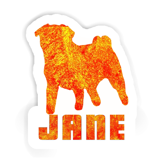 Sticker Jane Pug Notebook Sticker Jane Pug Gift package Image