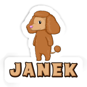 Sticker Poodle Janek Image