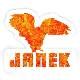 Janek Sticker Owl Image