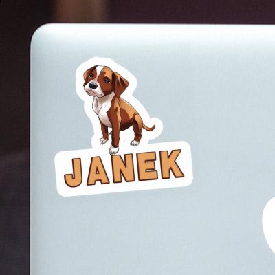 Sticker Janek Boxer Dog Laptop Sticker Janek Boxer Dog Laptop Image