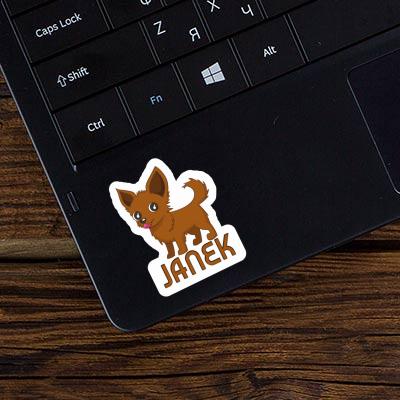 Sticker Chihuahua Janek Notebook Sticker Chihuahua Janek Gift package Image