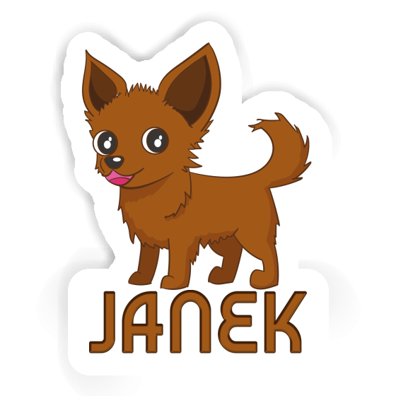 Sticker Chihuahua Janek Sticker Chihuahua Janek Image