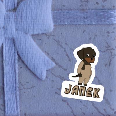 German Wirehaired Sticker Janek Notebook German Wirehaired Sticker Janek Gift package Image