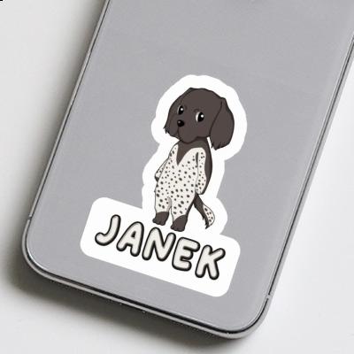 Sticker Munsterlander Janek Notebook Sticker Munsterlander Janek Gift package Image