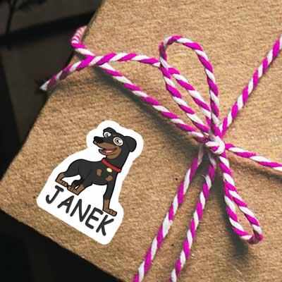 Sticker Pinscher Janek Gift package Image