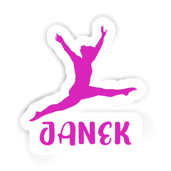 Janek Sticker Gymnast Janek Sticker Gymnast Image