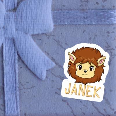 Lion Sticker Janek Notebook Image