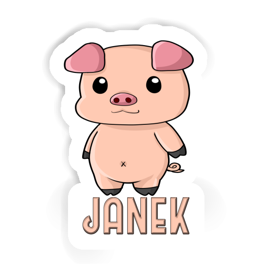Piggy Sticker Janek Notebook Piggy Sticker Janek Gift package Image