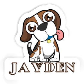 Autocollant Jayden Beagle Image