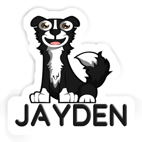 Collie Autocollant Jayden Image