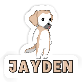 Golden Retriever Autocollant Jayden Image