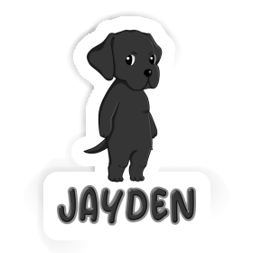 Autocollant Labrador Jayden Image