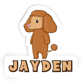 Autocollant Jayden Caniche Image