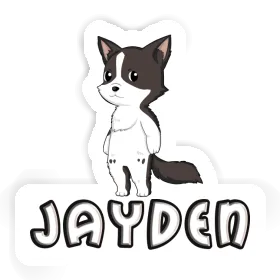 Jayden Autocollant Collie border Image