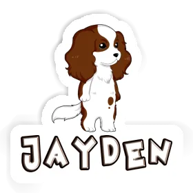 Cavalier King Charles Spaniel Autocollant Jayden Image