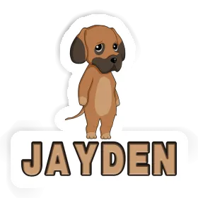 Jayden Autocollant Dogue allemand Image