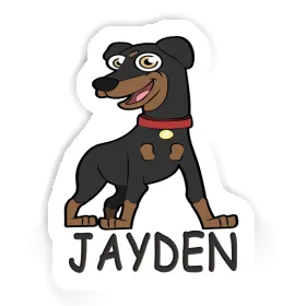 Sticker Jayden German Pinscher Image