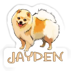 Autocollant Spitz allemand Jayden Image