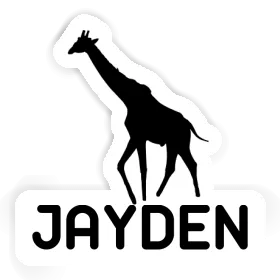 Jayden Sticker Giraffe Image