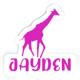 Jayden Sticker Giraffe Image