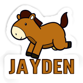 Jayden Sticker Horse Image