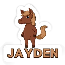 Sticker Horse Jayden Image