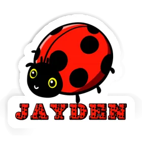 Ladybird Sticker Jayden Image