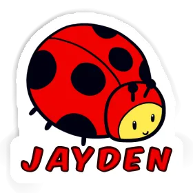 Jayden Sticker Ladybug Image