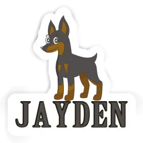 Autocollant Pinscher Jayden Image