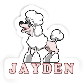 Jayden Autocollant Caniche Image