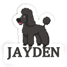 Autocollant Jayden Caniche Image