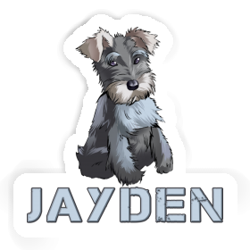 Schnauzer Autocollant Jayden Image