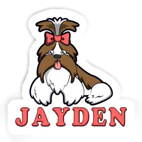 Autocollant Shih Tzu Jayden Image