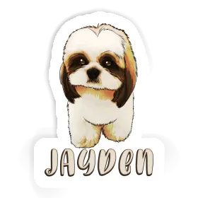 Autocollant Shih Tzu Jayden Image