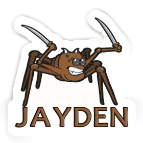 Jayden Sticker Fighting Spider Image