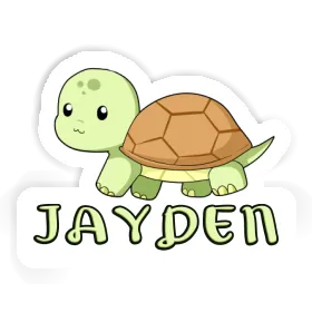 Jayden Sticker Turtle Image