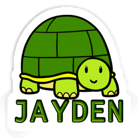 Jayden Sticker Turtle Image