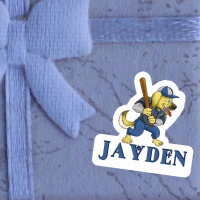 Jayden Sticker Baseball Dog Gift package Image