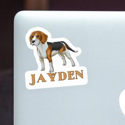 Autocollant Beagle Jayden Image