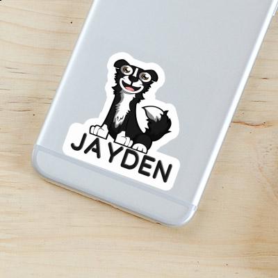 Collie Autocollant Jayden Gift package Image